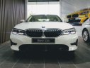 BMW 3 Series 330i Sport Line 2019 - Bán gấp chiếc xe BMW 3 Series 330i Sport Line năm 2019, màu trắng, nhập khẩu nguyên chiếc