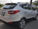 Hyundai Tucson 2014 - Bán xe Hyundai Tucson 2014, màu bạc, nhập khẩu