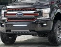 Ford F 150 2019 - Phiên bản giới hạn: Ford F-150 Harley Davidson đời 2019, màu đen, giá hợp lí