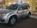 Ford Escape   2009 - Bán Ford Escape đời 2009, màu bạc số tự động