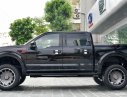 Ford F 150 2019 - Phiên bản giới hạn: Ford F-150 Harley Davidson đời 2019, màu đen, giá hợp lí