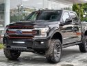 Ford F 150 2019 - Phiên bản giới hạn: Ford F-150 Harley Davidson đời 2019, màu đen, giá hợp lí