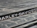 Ford F 150 2019 - Phiên bản giới hạn: Ford F-150 Harley Davidson đời 2019, màu đen, giá hợp lí
