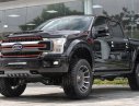 Ford F 150 2019 - Phiên bản giới hạn: Ford F-150 Harley Davidson đời 2019, màu đen, giá hợp lí