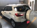 Ford EcoSport   2015 - Cần bán Ford EcoSport năm sản xuất 2015 giá cạnh tranh