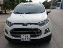 Ford EcoSport 2017 - Bán Ford EcoSport sản xuất năm 2017, màu trắng chính chủ