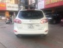 Hyundai Santa Fe 2010 - Bán Hyundai Santa Fe đời 2010, màu trắng, nhập khẩu  