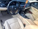 BMW 5 Series 2016 - Bán BMW 5 Series 2016, màu đen