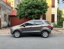 Ford EcoSport    2017 - Xe Ford EcoSport đời 2017, xe nhập