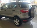 Ford EcoSport 2016 - Cần bán Ford EcoSport 2016, màu bạc xe gia đình