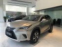 Lexus NX 2019 - Bán giảm giá cuối năm chiếc xe Lexus NX300, sản xuất 2019, màu bạc, nhập khẩu nguyên chiếc