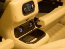 Ford Tourneo 2019 - Bán nhanh chiếc xe Ford Tourneo 2.0L Titanium AT, sản xuất 2019, màu nâu, giá cạnh tranh