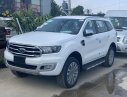 Ford Everest Ambient 2.0L AT 2019 - Tây Ninh Ford - Cần bán xe Ford Everest Ambient 2.0L AT đời 2019, màu trắng, nhập khẩu