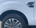 Ford Everest Ambient 2.0L AT 2019 - Tây Ninh Ford - Cần bán xe Ford Everest Ambient 2.0L AT đời 2019, màu trắng, nhập khẩu