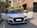 Audi TT 2016 - Cần bán gấp Audi TT năm sản xuất 2016, màu trắng, nhập khẩu nguyên chiếc chính chủ