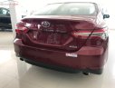 Toyota Camry 2019 - Cần bán Toyota Camry 2.5Q 2019, màu đỏ