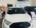 Ford EcoSport 2019 - Hỗ trợ giao xe tận nhà - Mua xe trả góp lãi suất thấp chiếc xe Ford Ecosport Ambiente 1.5L MT, sản xuất 2019