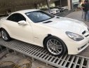 Mercedes-Benz SLK class 2010 - Cần bán lại xe Mercedes đời 2010, màu trắng, nhập khẩu, 950 triệu