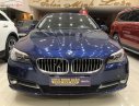BMW 5 Series 520i 2017 - Bán ô tô BMW 5 Series 520i đời 2017, màu xanh lam, xe nhập