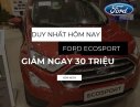 Ford EcoSport   2019 - Cần bán xe Ford EcoSport năm 2019, 530tr