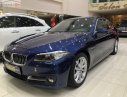 BMW 5 Series 520i 2017 - Bán ô tô BMW 5 Series 520i đời 2017, màu xanh lam, xe nhập