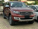 Ford Everest Titanium AT 4x2 2019 - Tây Ninh Ford - Chuyên phân phối các dòng xe Ford: Ford Everest Titanium AT 4x2 đời 2020, màu nâu