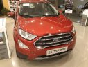 Ford EcoSport   2019 - Cần bán xe Ford EcoSport năm 2019, 530tr