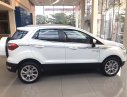 Ford EcoSport 2020 - Hỗ trợ mua xe trả góp lãi suất thấp - Giảm giá trực tiếp tiền mặt chiếc xe Ford Ecosport 1.5L MT Ambiente, màu trắng