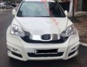 Honda CR V 2009 - Bán ô tô Honda CR V đời 2009, màu trắng, 505 triệu