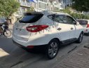 Hyundai Tucson 2014 - Bán ô tô Hyundai Tucson sản xuất năm 2014, màu trắng, nhập khẩu số tự động, giá tốt