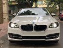 BMW 5 Series 520i 2015 - Cần bán BMW 5 Series 520i đời 2015, màu trắng, nhập khẩu