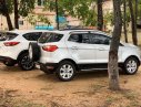 Ford EcoSport 2015 - Bán Ford EcoSport đời 2015, màu trắng, nhập khẩu