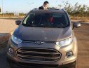 Ford EcoSport 2017 - Cần bán Ford EcoSport đời 2017, màu xám, 495 triệu