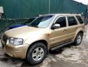 Ford Escape 2002 - Bán Ford Escape năm sản xuất 2002, màu vàng số tự động