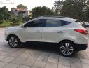 Hyundai Tucson 2.0 AT 2014 - Cần bán lại xe Hyundai Tucson 2.0 AT đời 2014, màu kem (be), nhập khẩu  