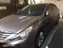 Hyundai Sonata 2013 - Cần bán xe Hyundai Sonata năm sản xuất 2013, màu xám, nhập khẩu, 495tr