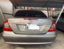 Mercedes-Benz E class 2008 - Bán Mercedes đời 2008, màu bạc, nhập khẩu nguyên chiếc