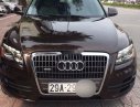 Audi Q5   2010 - Bán xe cũ Audi Q5 đời 2010, nhập khẩu