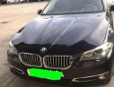 BMW 5 Series 520i 2015 - Bán BMW 5 Series 520i năm sản xuất 2015, màu đen