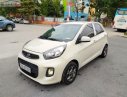Kia Morning 2015 - Cần bán Kia Morning Van 2015, màu kem (be), xe nhập số tự động