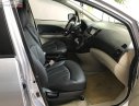 Mitsubishi Grandis 2008 - Bán Mitsubishi Grandis năm sản xuất 2008, màu bạc còn mới