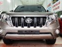 Toyota Prado 2016 - Bán ô tô Toyota Prado TXL 2.7L AT đời 2016, màu bạc, nhập khẩu số tự động