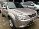 Ford Escape 2010 - Cần bán xe Ford Escape năm sản xuất 2010