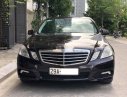 Mercedes-Benz E class E250  2010 - Bán Mercedes E250 đời 2010, màu nâu cafe