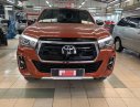 Toyota Hilux   2019 - Bán Toyota Hilux 2.8 4x4 AT sản xuất năm 2019, nhập khẩu
