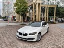 BMW 5 Series 2015 - Cần bán lại xe BMW 5 Series 520i 2015, màu trắng, nhập khẩu nguyên chiếc