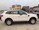 Ford Everest   2020 - Bán Ford Everest 2020, nhập khẩu nguyên chiếc