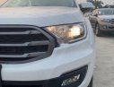 Ford Everest   2020 - Bán Ford Everest 2020, nhập khẩu nguyên chiếc