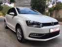 Volkswagen Polo 2018 - Bán Volkswagen Polo 1.6 AT sản xuất năm 2018, màu trắng, xe nhập