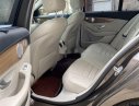 Mercedes-Benz C class  C250  2018 - Cần bán gấp Mercedes C250 đời 2018, màu nâu chính chủ